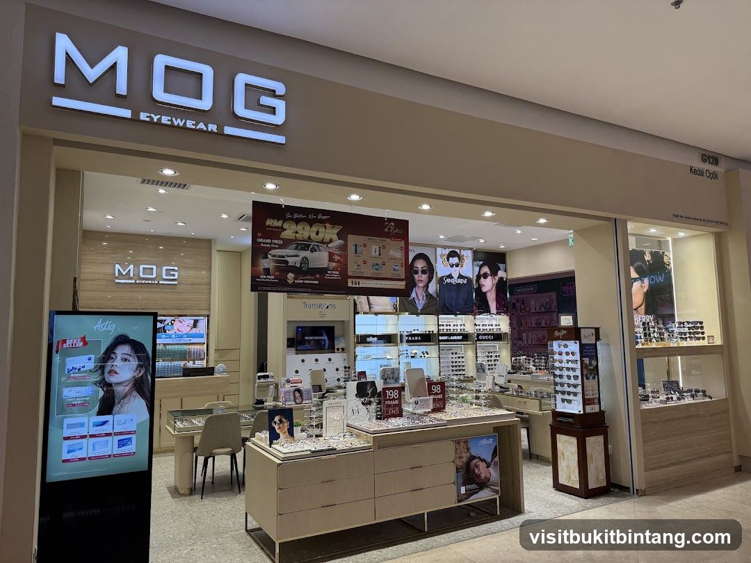 MOG Eyewear The Curve