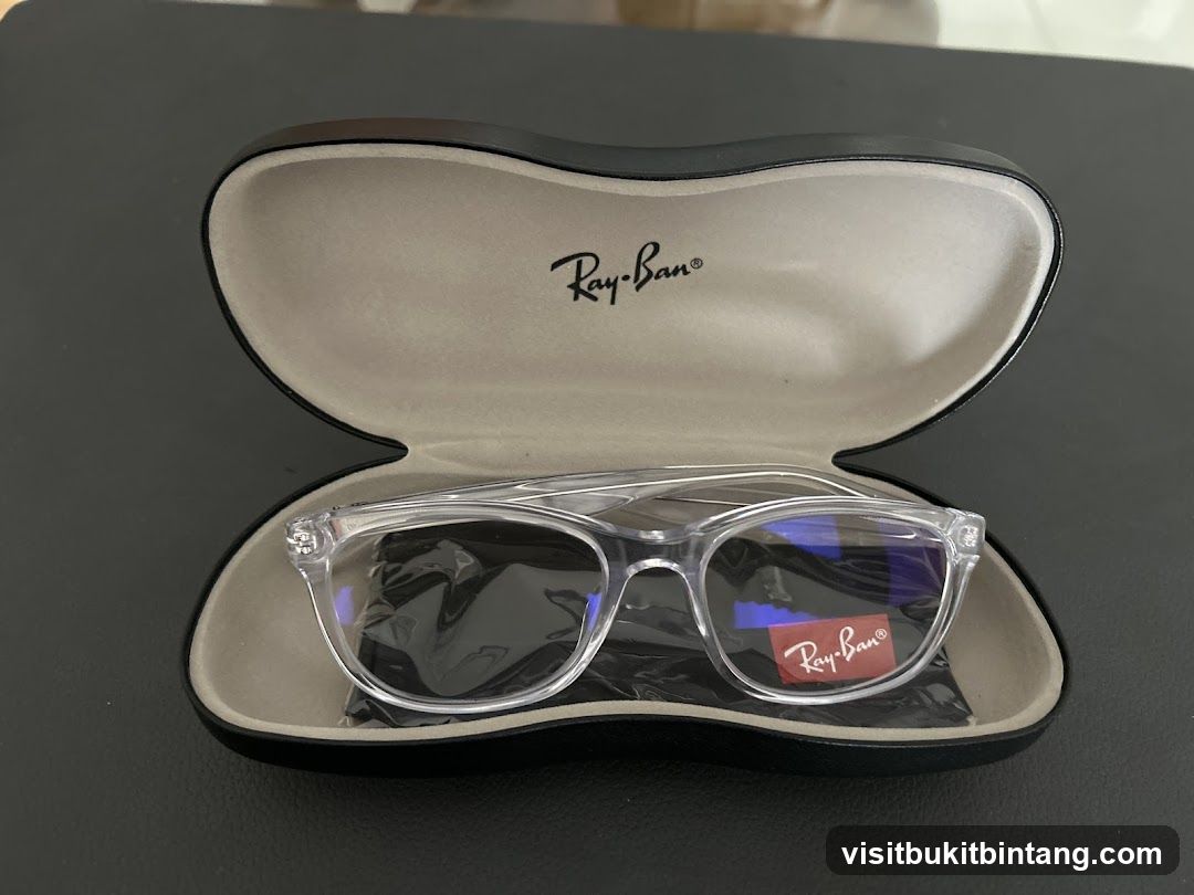 Ray-Ban Glasses in Case