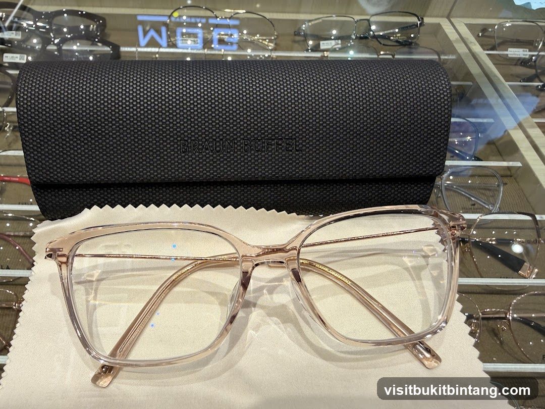 Eyeglasses and Case