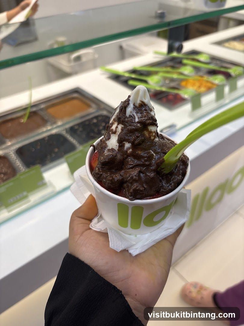 Frozen Yogurt with Chocolate Topping