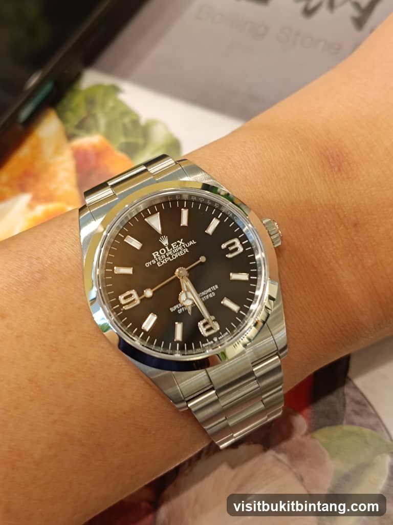 Rolex Explorer Watch