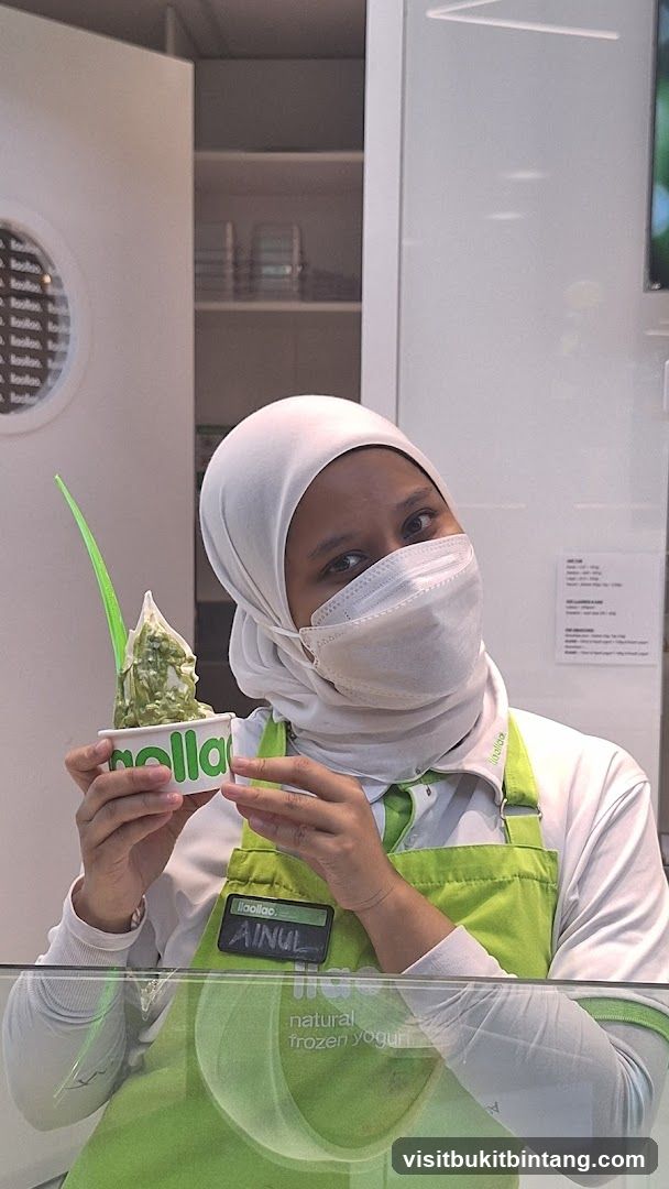 Frozen Yogurt