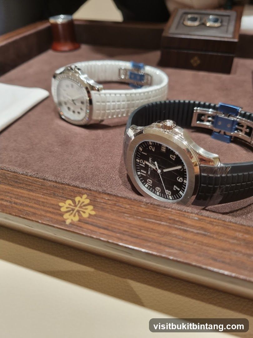 Luxury Watches Display