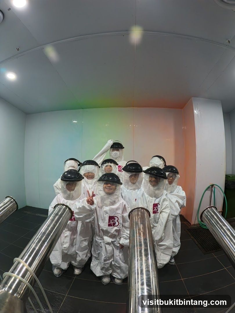 Group in protective suits