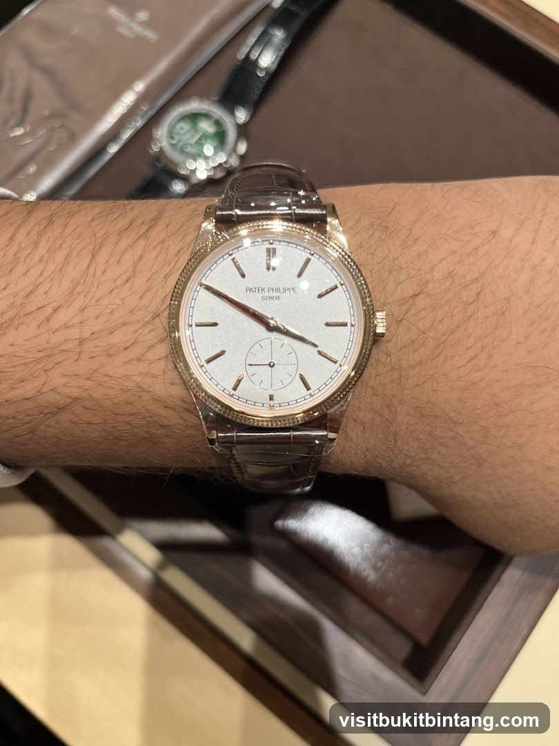 Patek Philippe Watch on Wrist
