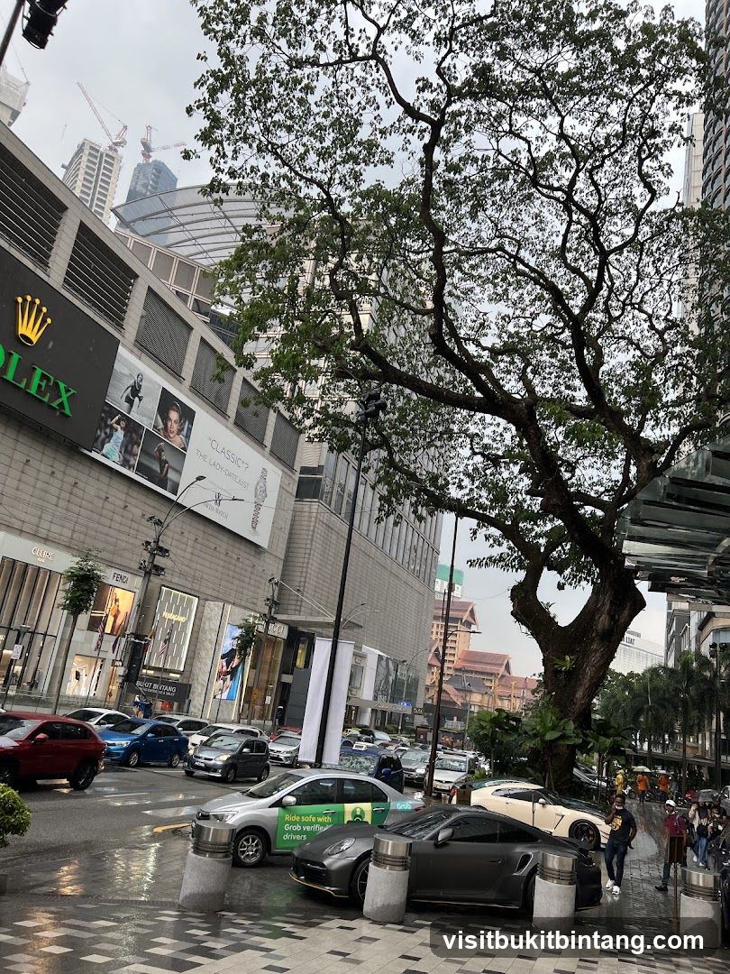 Street Scene with Luxury Stores and Cars
