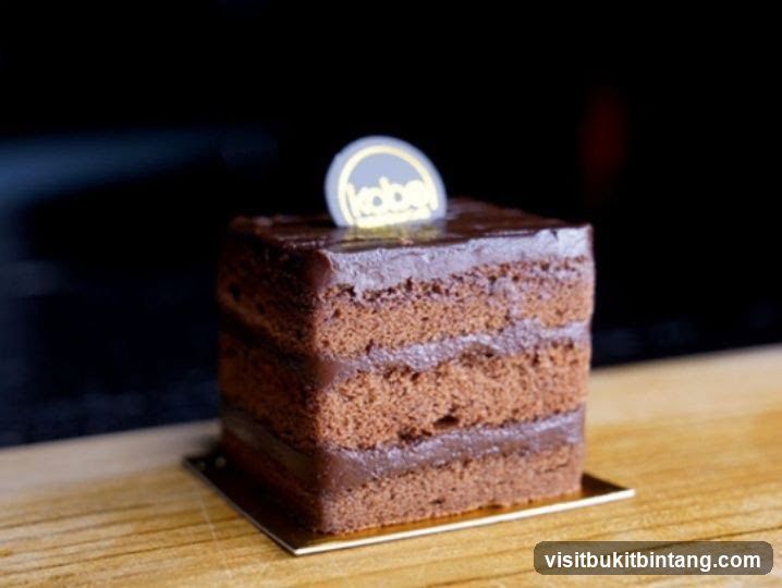 Chocolate Cake Slice