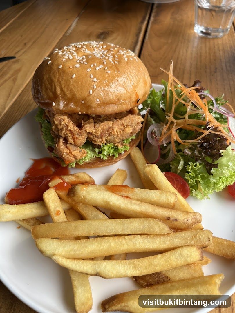 Fried Chicken Burger with Fries and Salad