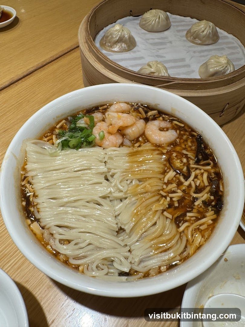 Noodles and Soup Dumplings