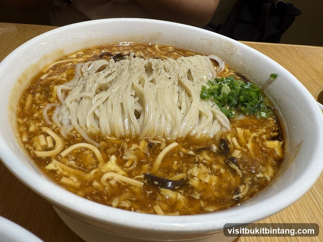 Hot and Sour Noodle Soup