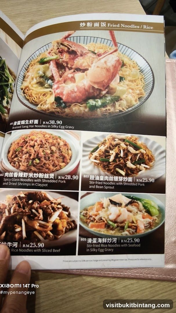 Fried Noodles / Rice
