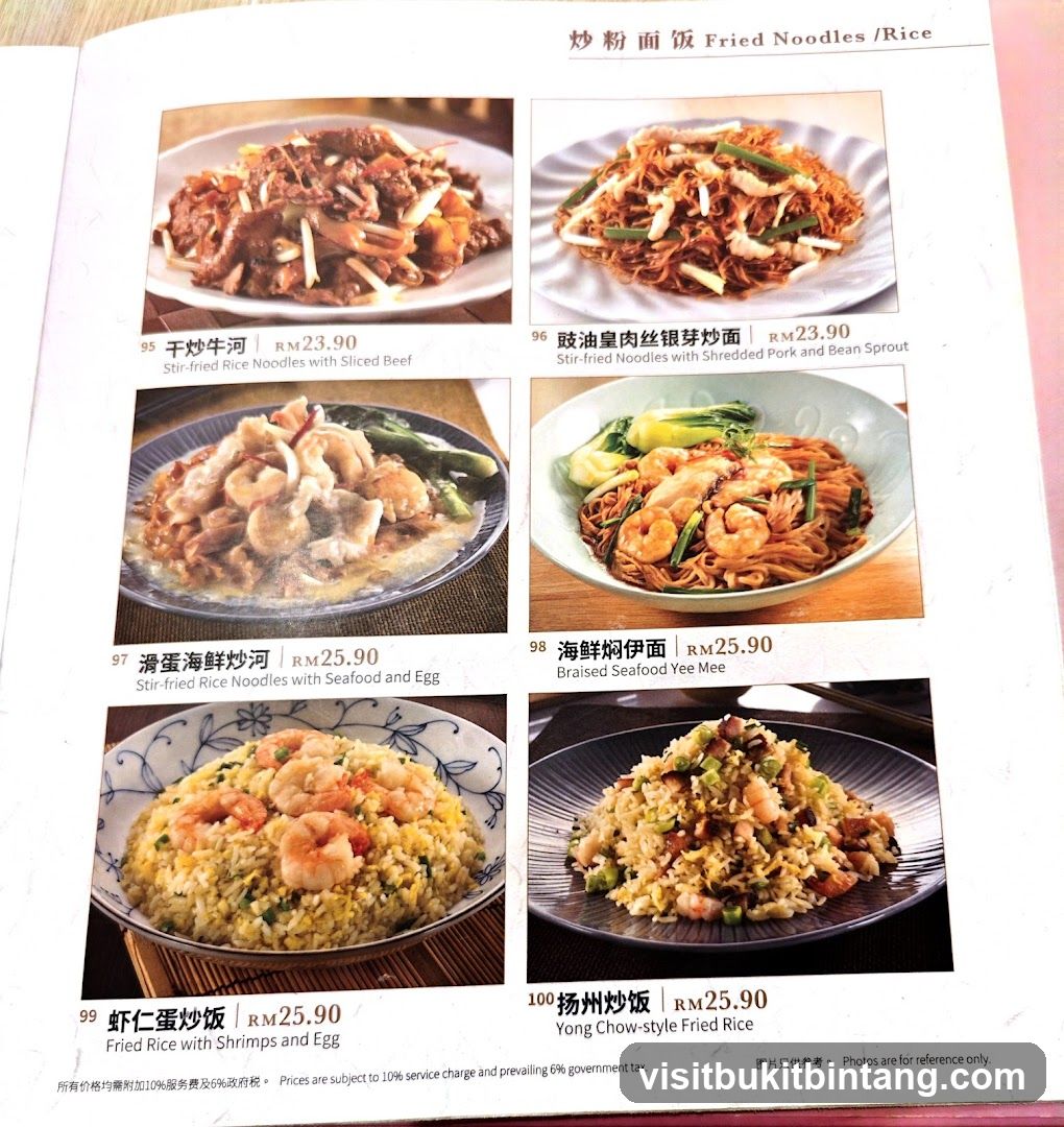Fried Noodles / Rice