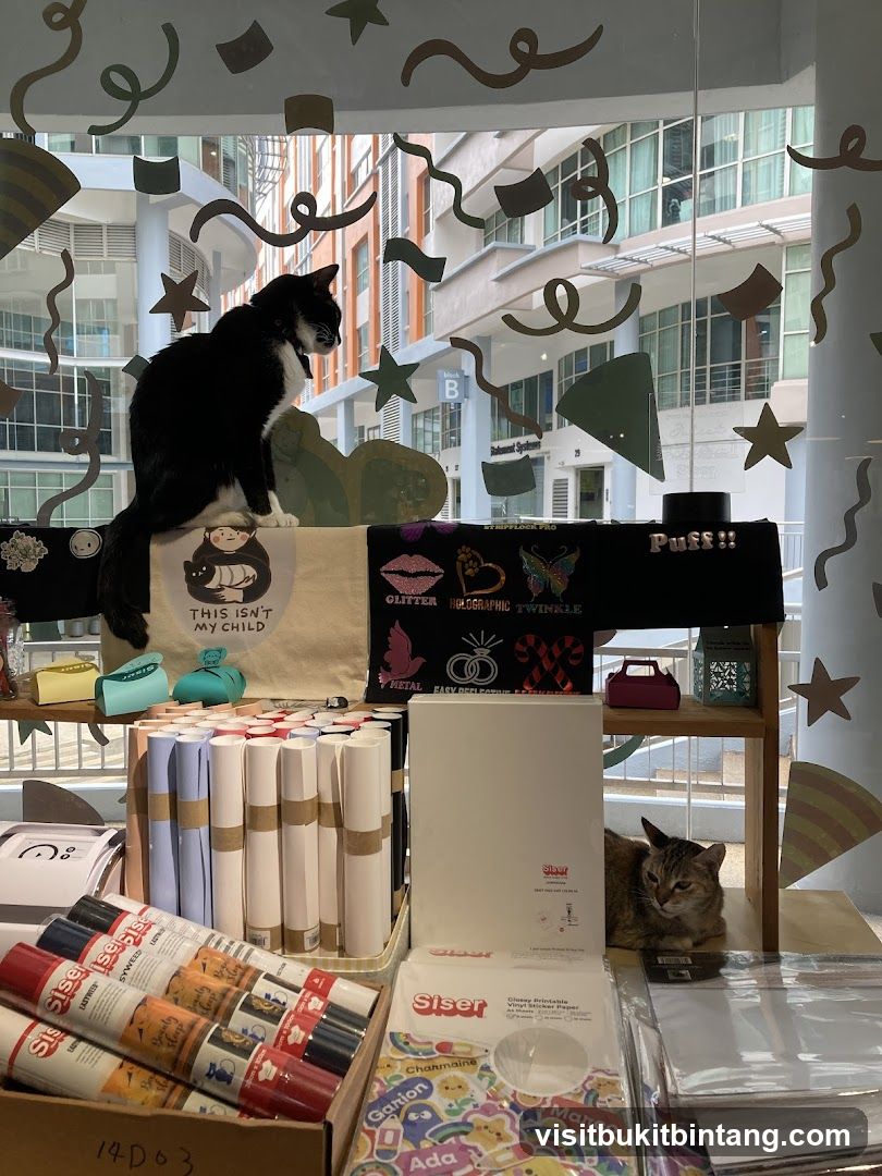 Craft Supplies Display with Cats