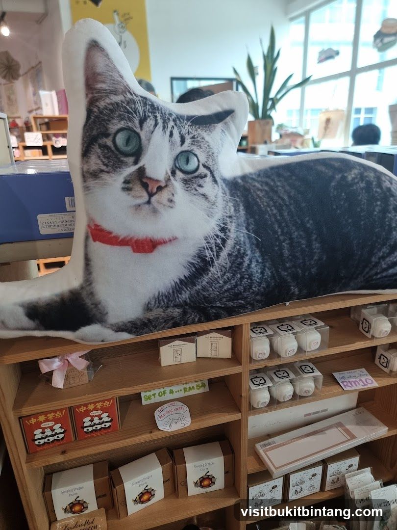 Cat Pillow and Shelves of Merchandise