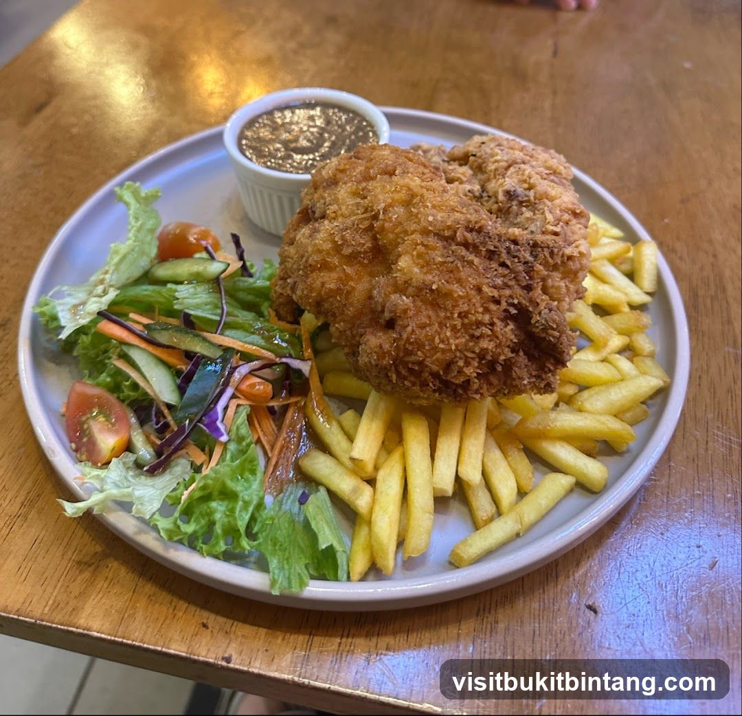 Fried Chicken with Fries and Salad