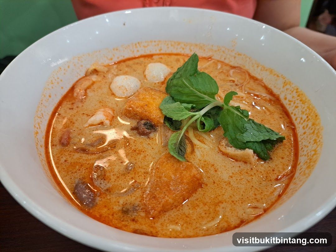 Laksa Noodle Soup