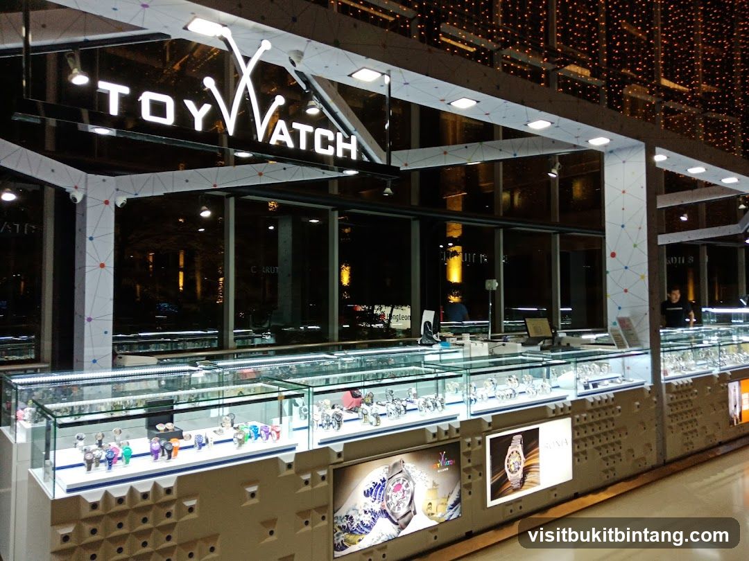 Toywatch & Cerruti 1881
