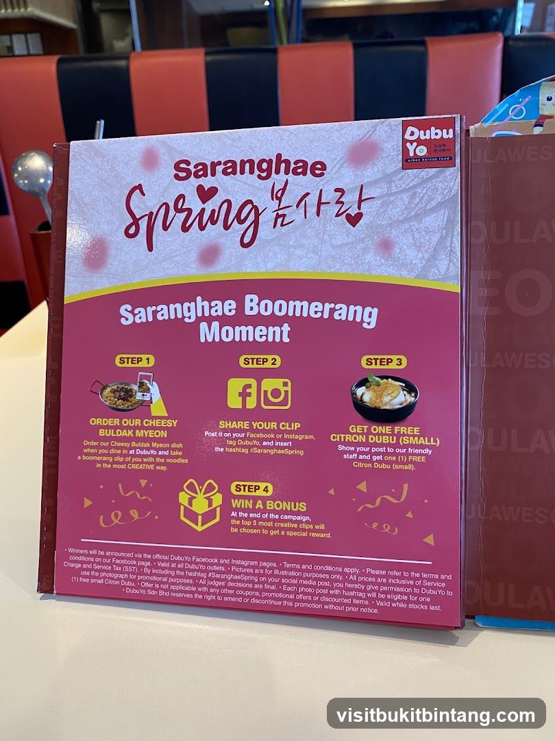 DubuYo Saranghae Spring Boomerang Moment Promotion