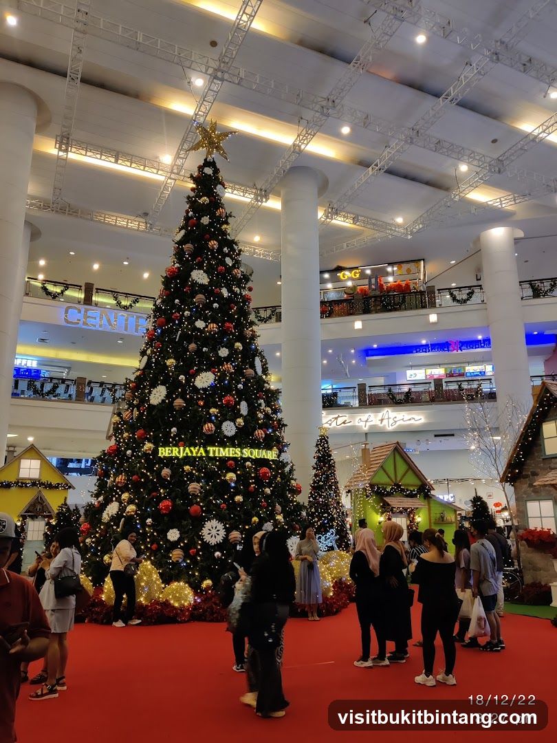 Christmas Tree Display