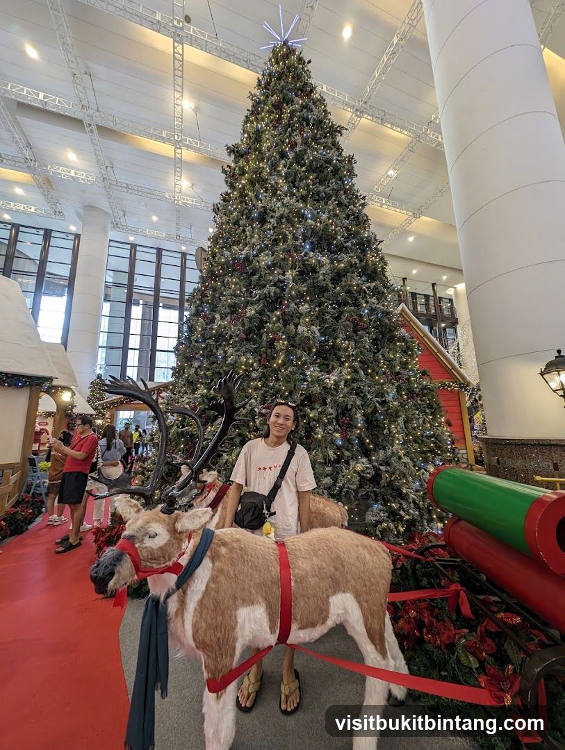 Christmas Tree Display