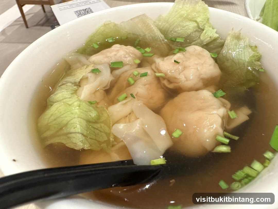 Wonton Soup
