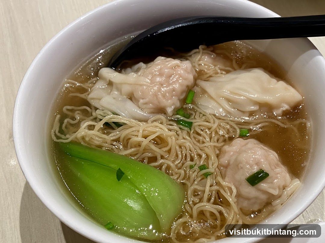 Wonton Noodle Soup