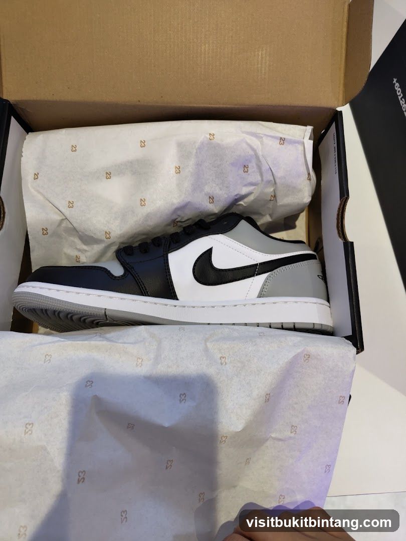Sneaker in Box