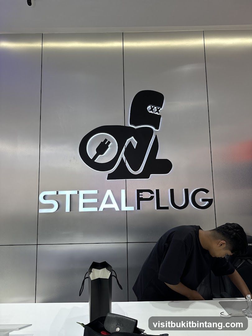 Steal Plug Logo