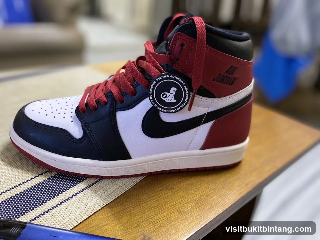 Air Jordan 1 Sneaker