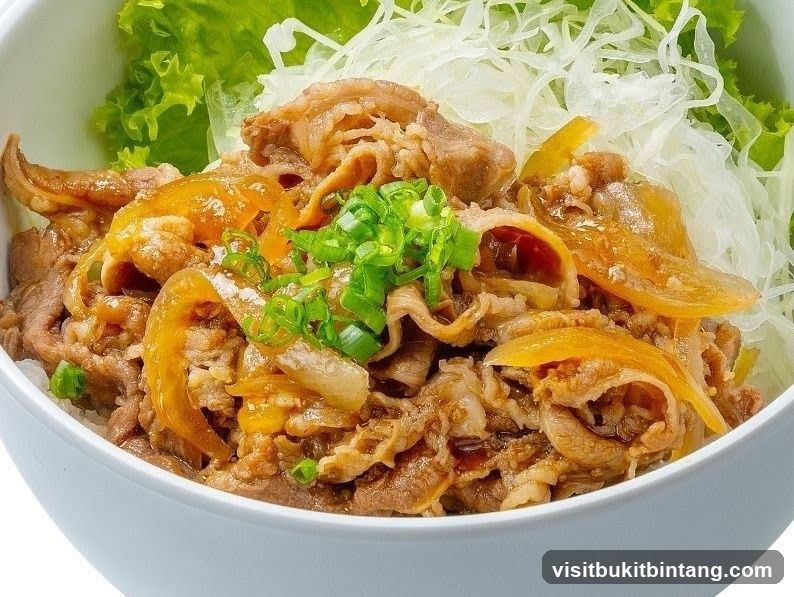 Sun San Curry | Lalaport