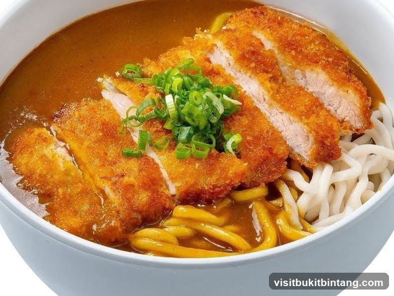 Curry Udon with Katsu