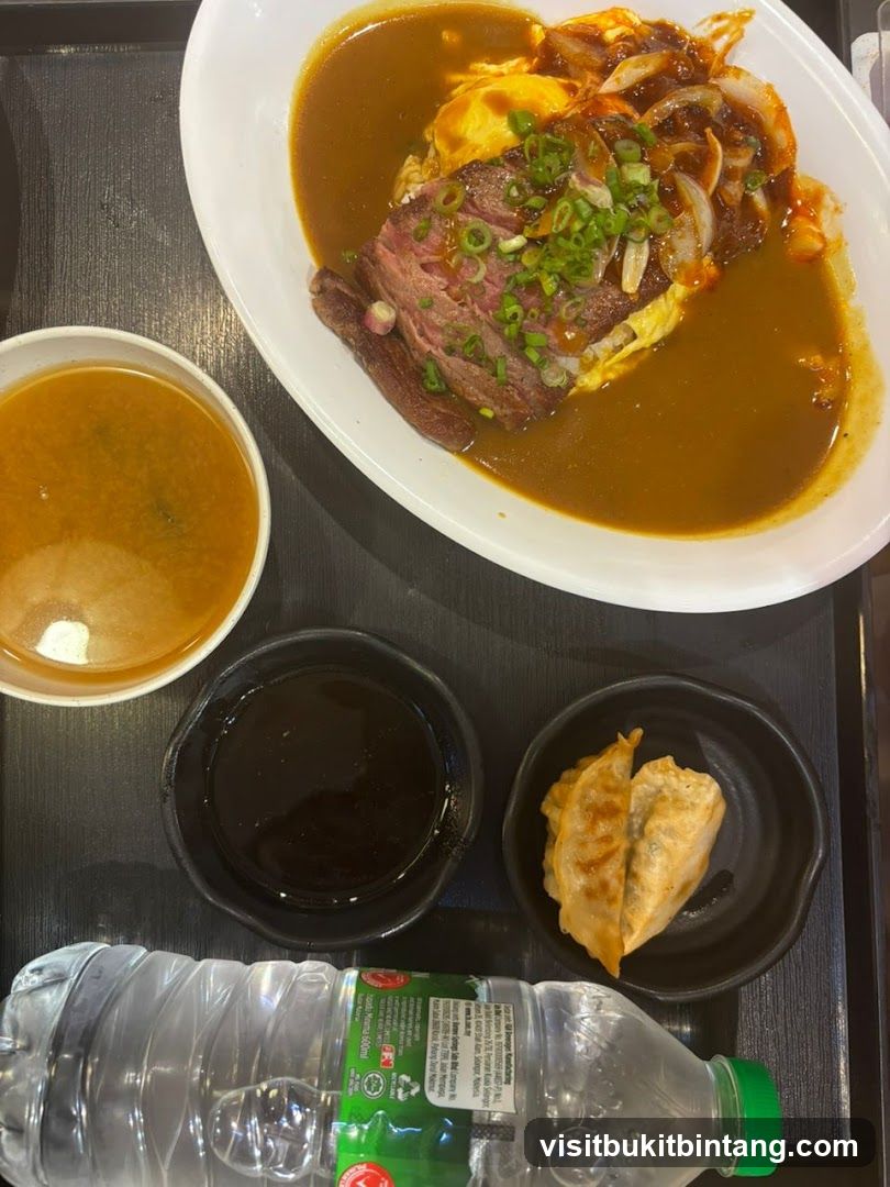 Curry Omelette with Steak and Gyoza