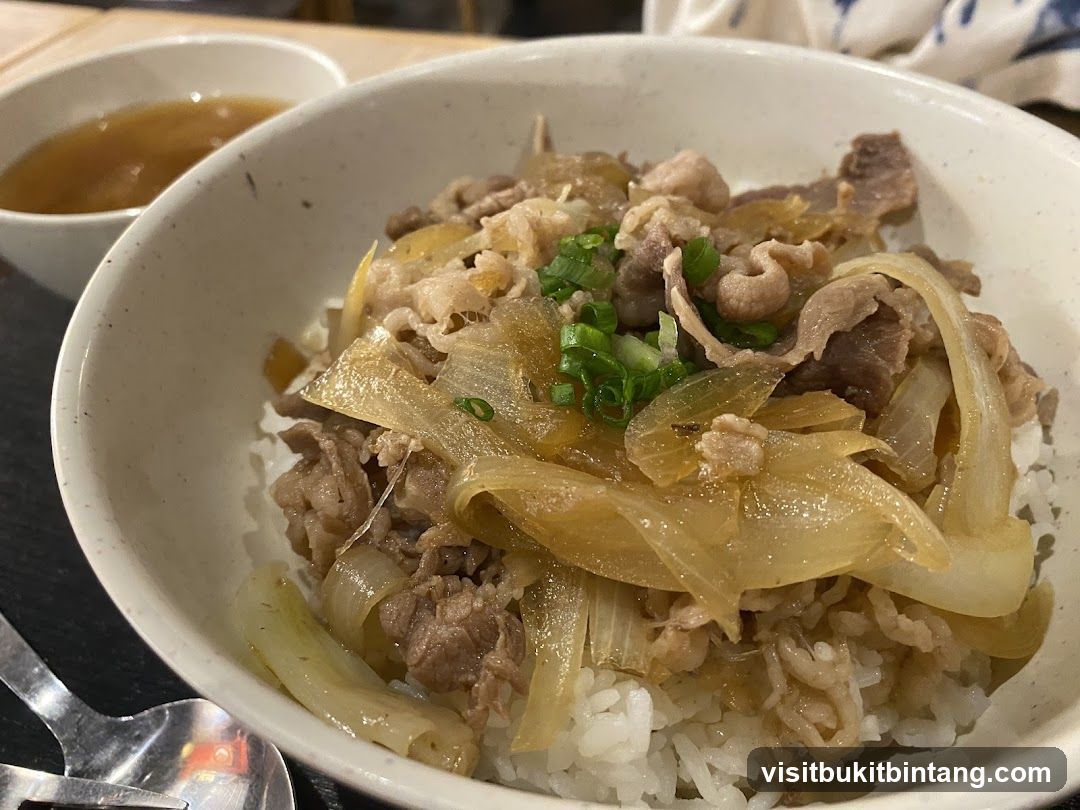 Beef and Onion Rice Bowl