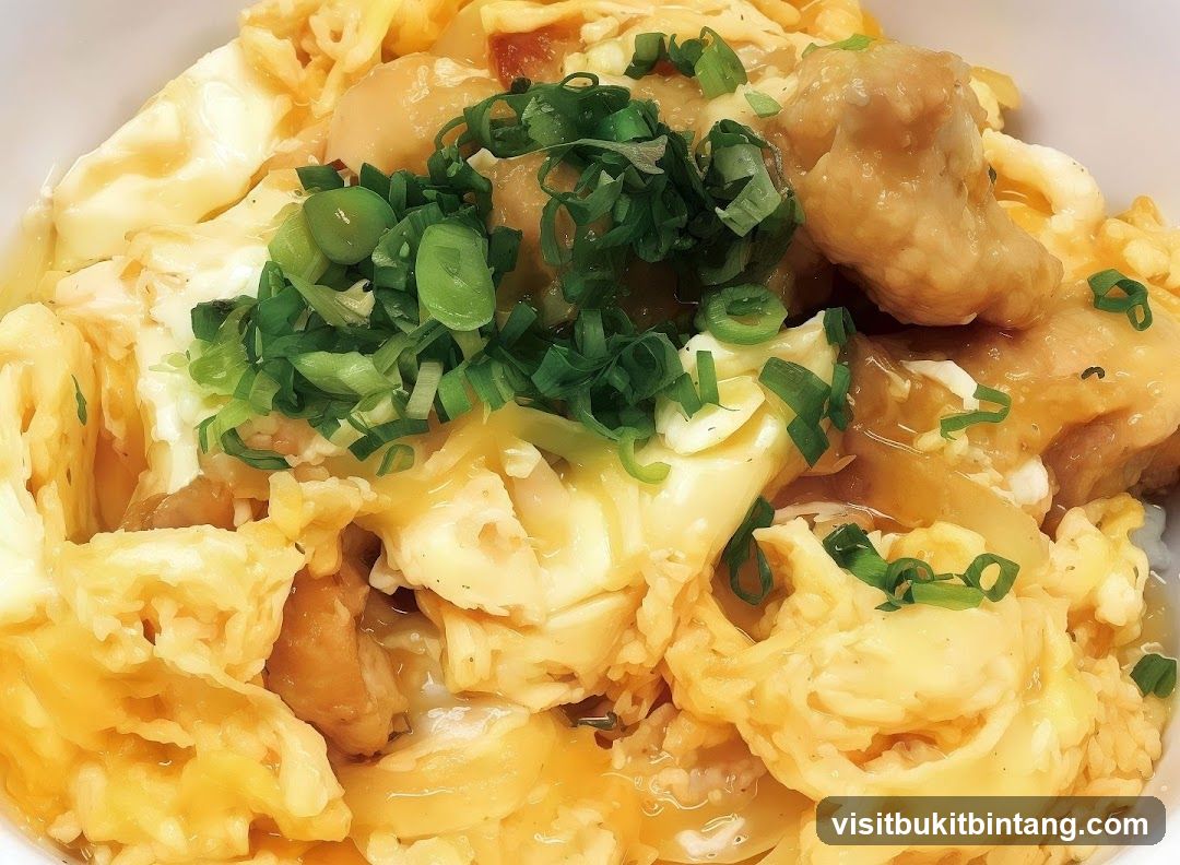 Chicken and Egg Rice Bowl
