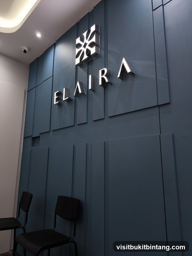 Elaira Logo and Interior Detail