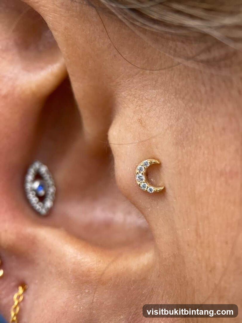 Close-up of a person's ear with multiple piercings.