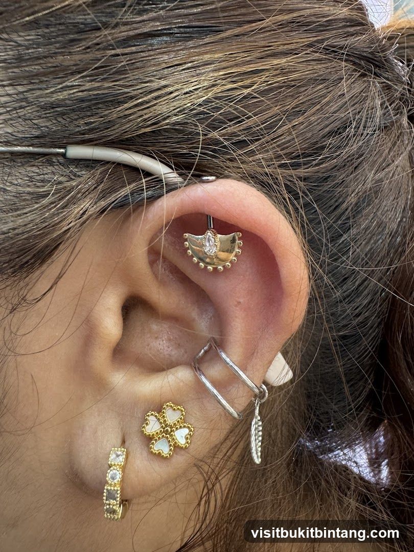 Ear Piercings