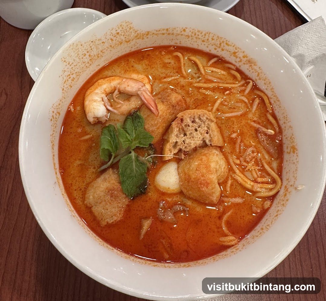 Laksa Noodle Soup