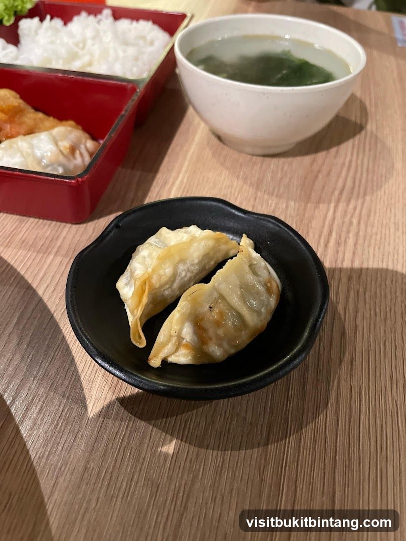 Fried Dumplings with Soup and Rice