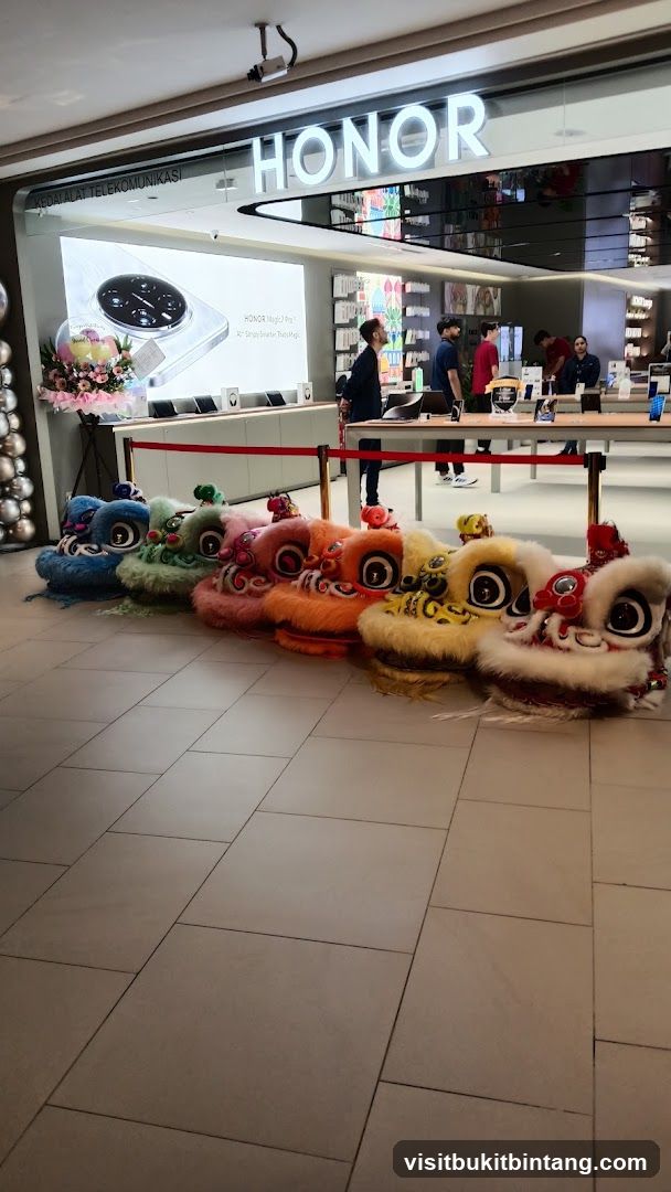 HONOR Storefront with Lion Dance Costumes