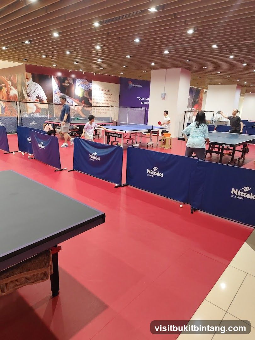 Table Tennis Arena