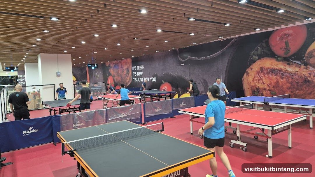 Table Tennis Arena