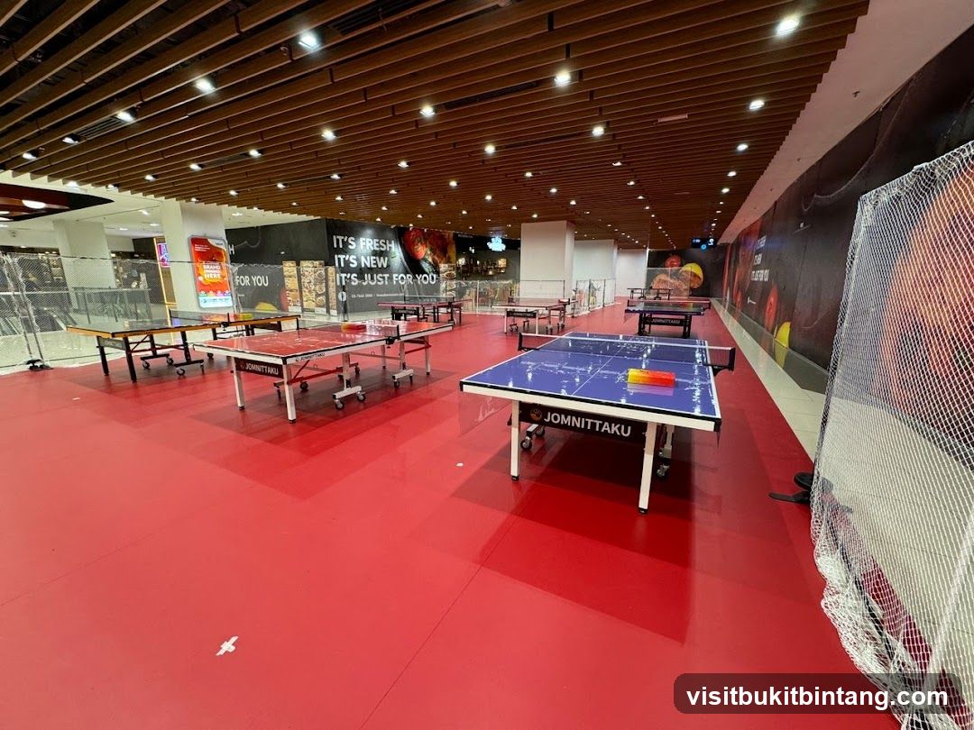 Ping Pong Tables