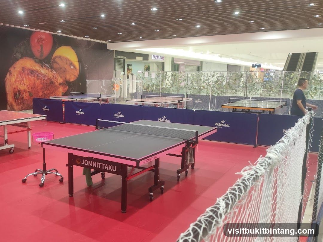 Table Tennis Area