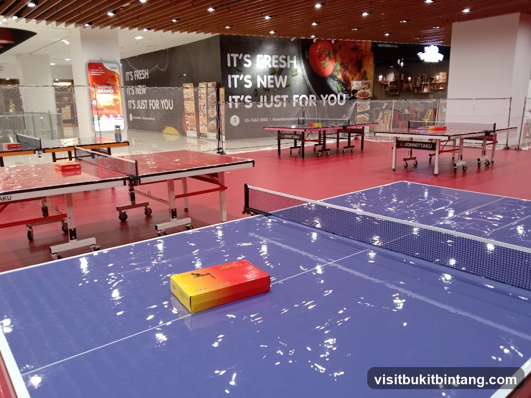 Ping Pong Tables