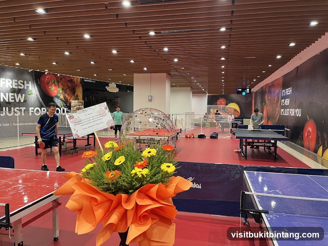 Table Tennis Venue