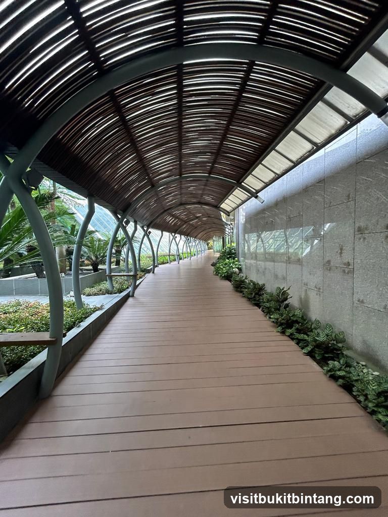 Covered Walkway with Plants