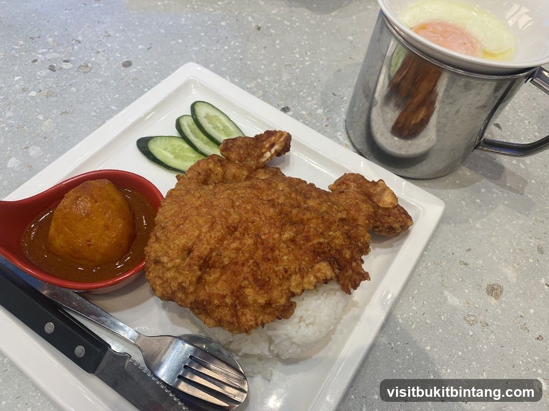 Fried Chicken with Rice and Egg