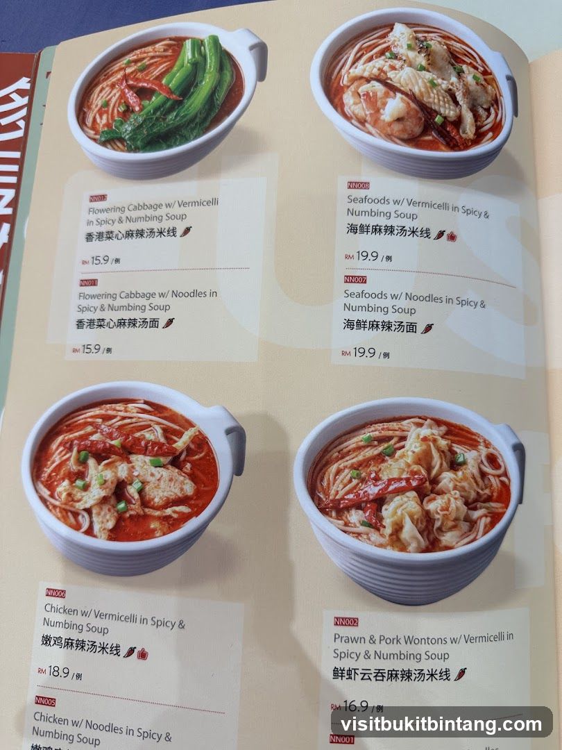 Numbing Soup Noodles