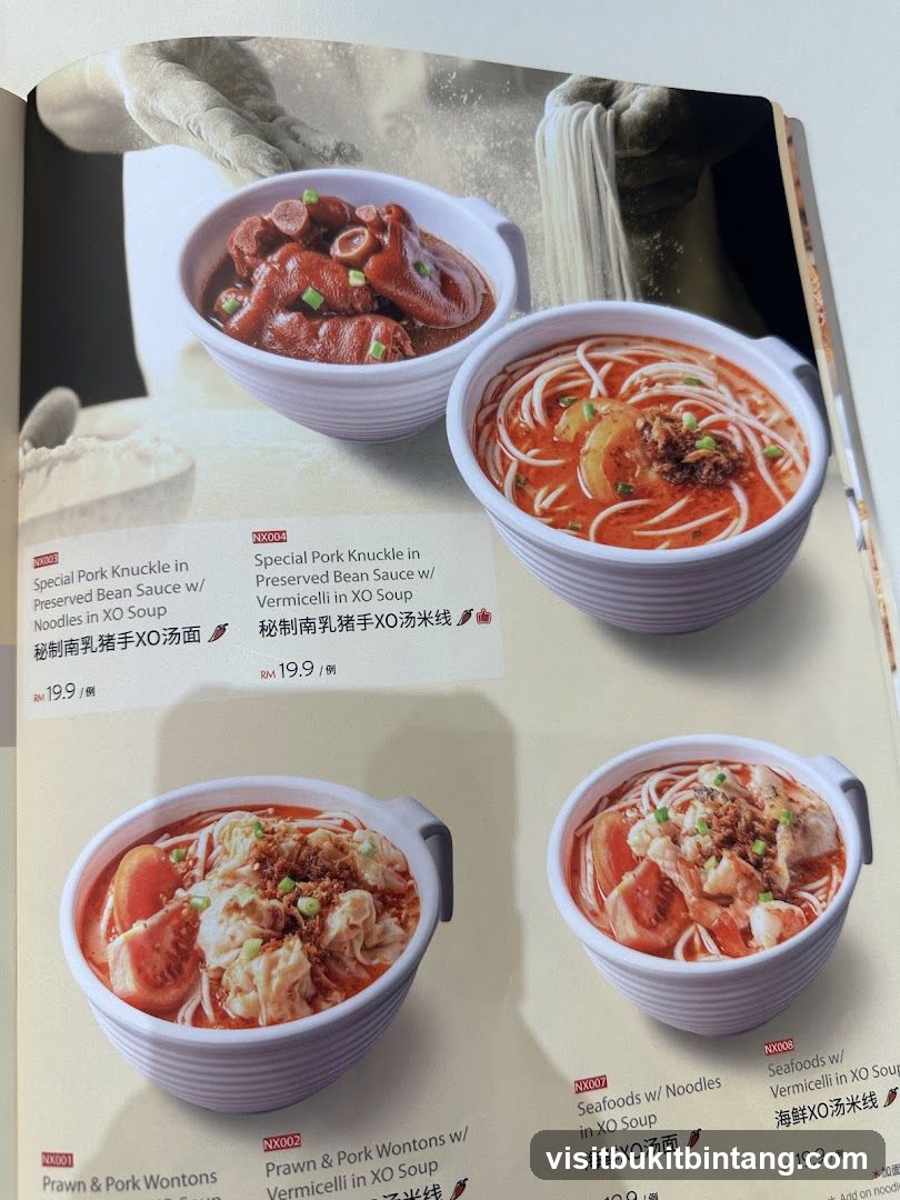 Noodle Soups